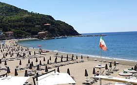 Beach Paradise